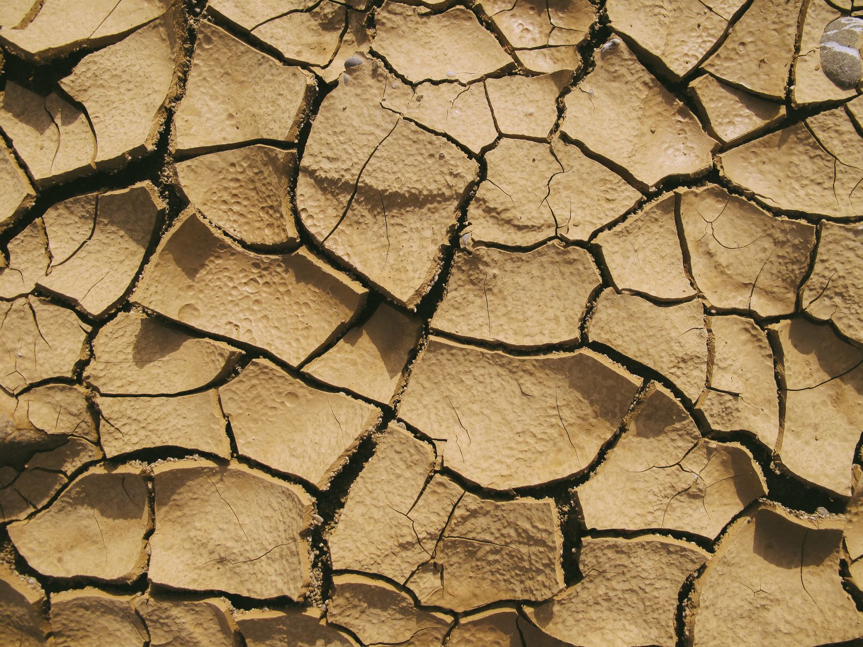 Extreme Water Shortages in the West and Pentagon Personnel Change
