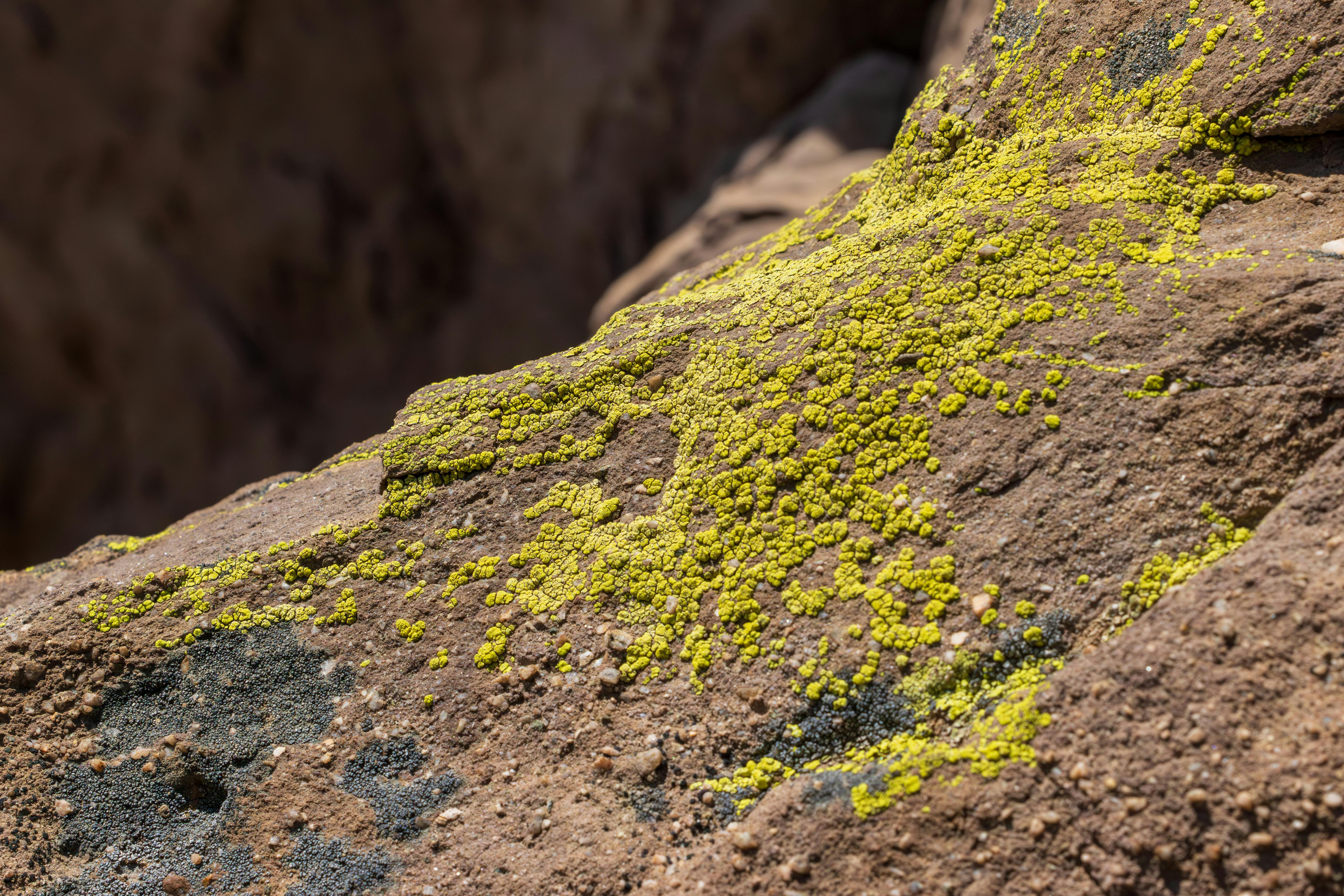 Melhor CDB Liquidez Diária: Guia Completo para 2024 e Futuro