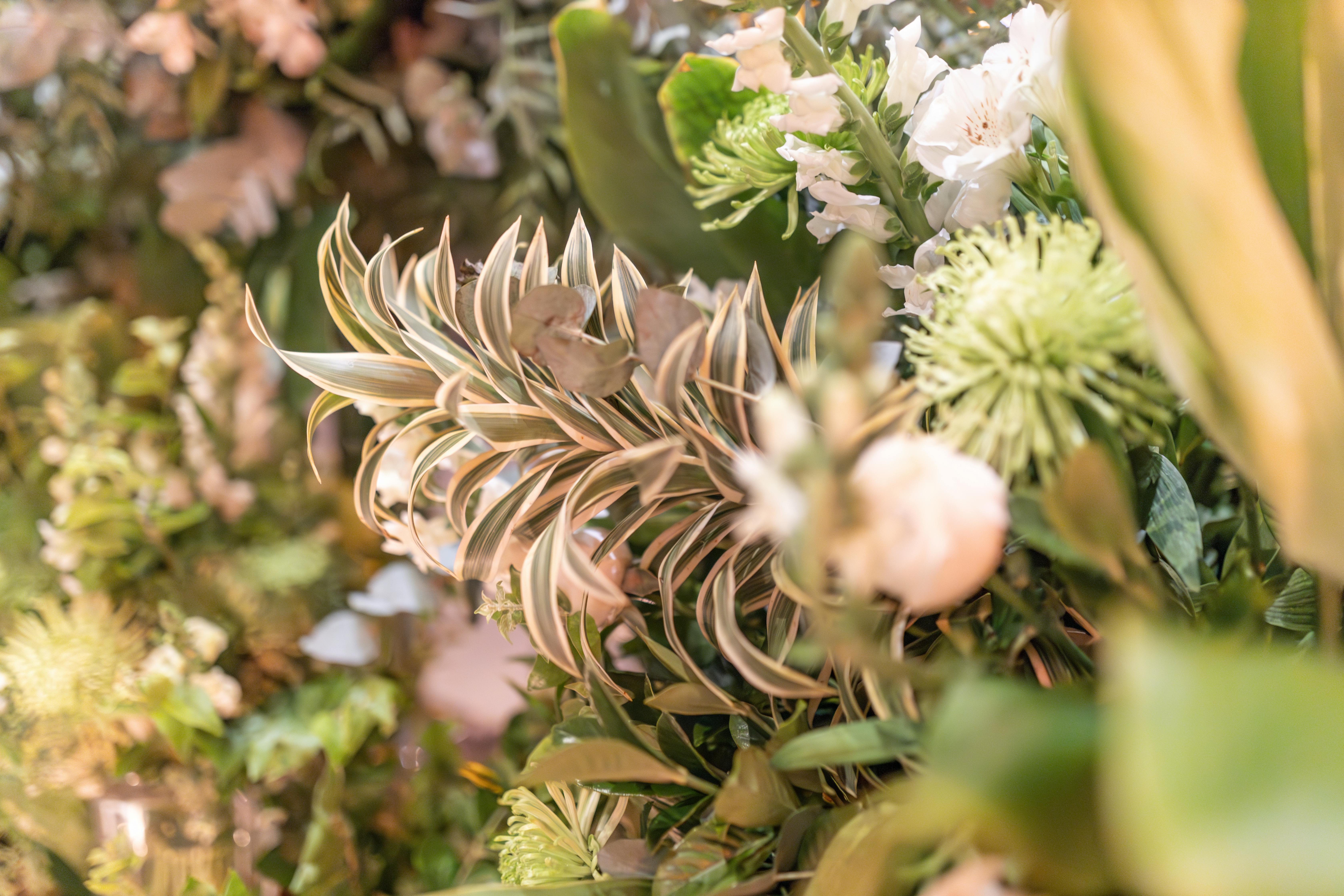 Captivating Floral Displays: Exquisite Arrangements that Will Take Your Breath Away
