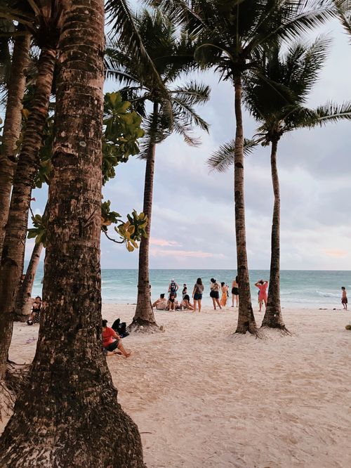 Free Overcast tropical beach scene with palm trees and people enjoying the sand. Stock Photo