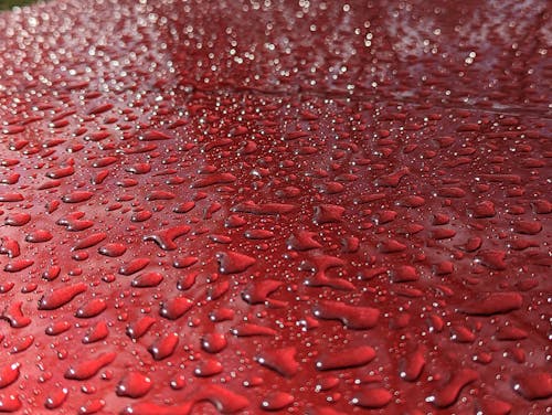 Free stock photo of rain drops, red, water