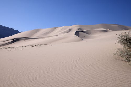 Sandy Desert Landscape 