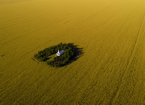 Foto profissional grátis de área, árvores, capela