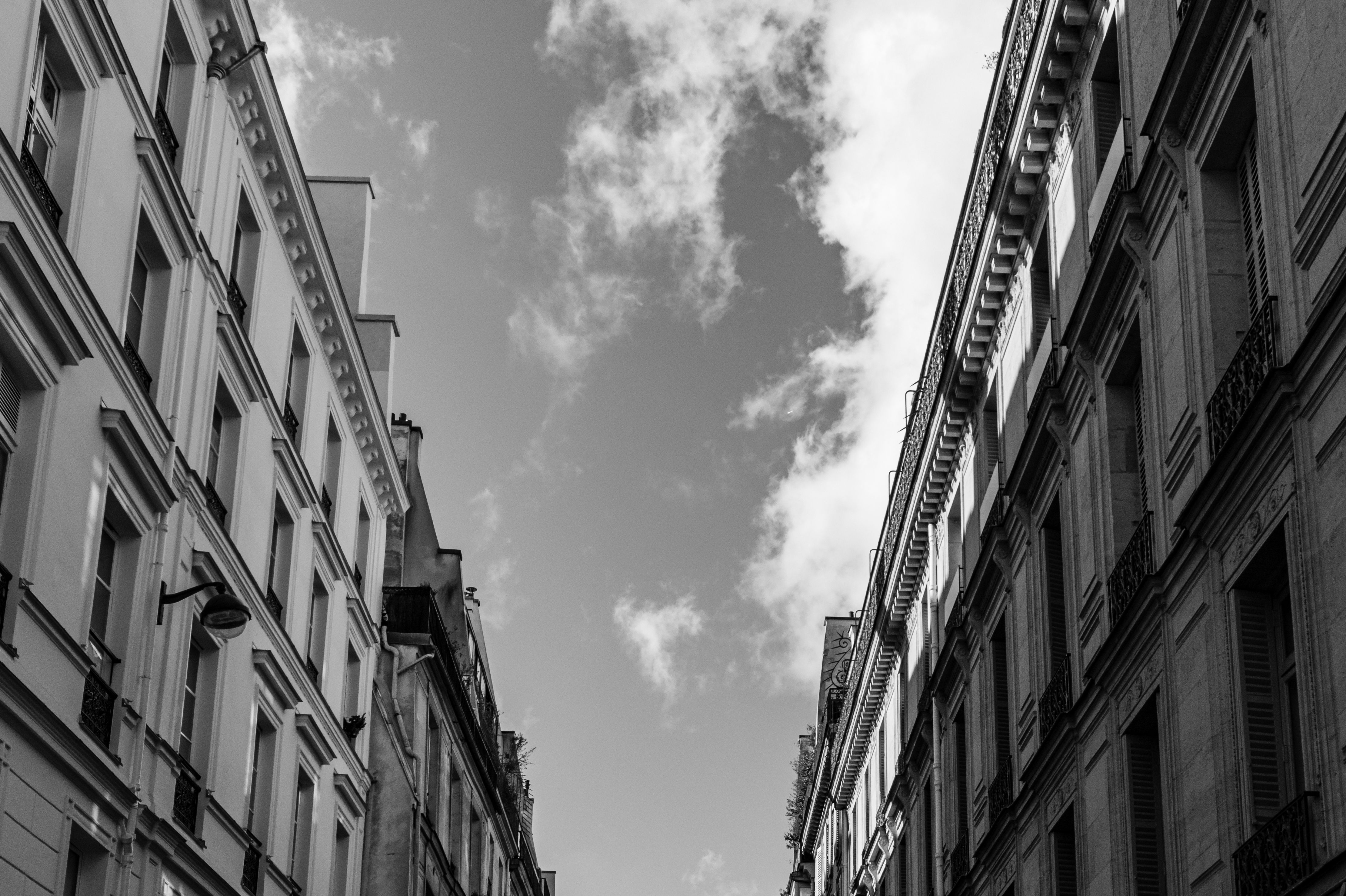 Buildings Facades in Black and White · Free Stock Photo