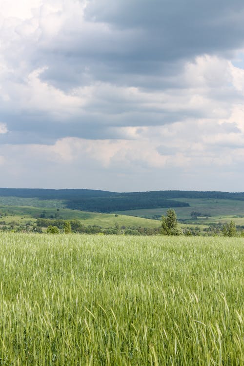 Clouds over Rural Field in Countryside