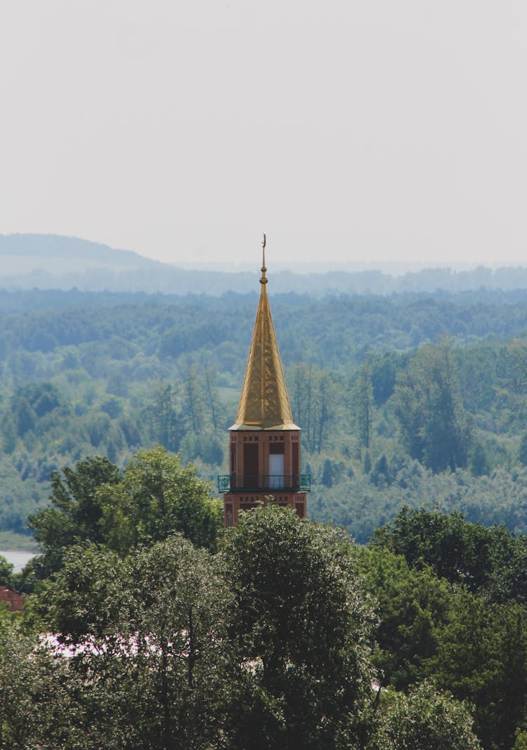 Church Tower Over Trees