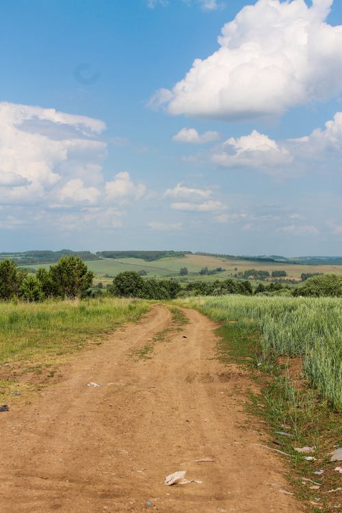 Free Tranquil rural landscape with dirt road winding through lush fields under a blue sky with clouds. Stock Photo