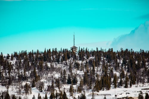 Безкоштовне стокове фото на тему «вежа, гора, горизонт»