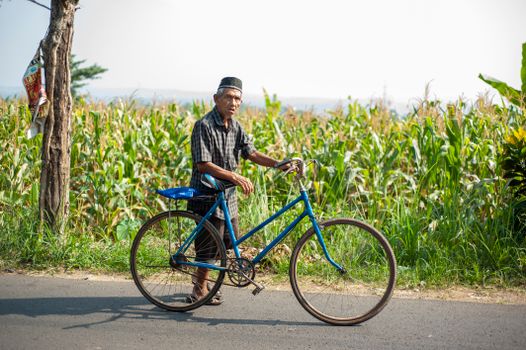 Elderly man poses with a blue bicycle beside a lush cornfield, capturing rural life. - Fotografer Sidoarjo