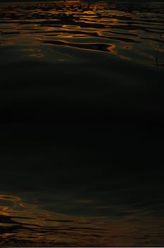 温暖的阳光映照在漆黑宁静的海面上，营造出舒缓宁静的景象