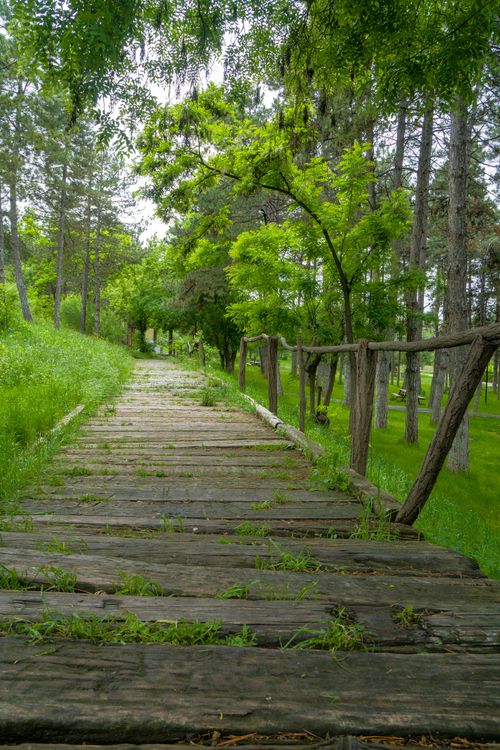 Free Explore a serene forest path with a rustic wooden bridge, enveloped by lush greenery and summer foliage. Stock Photo