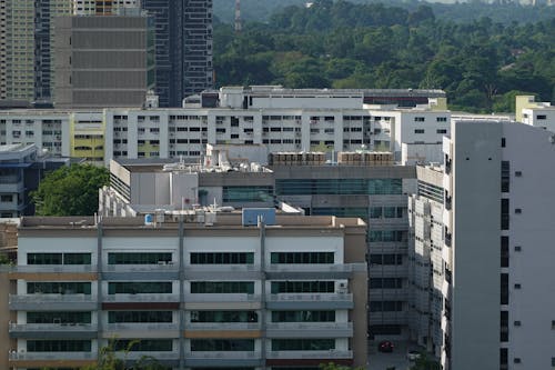 Blocks of Flats Buildings