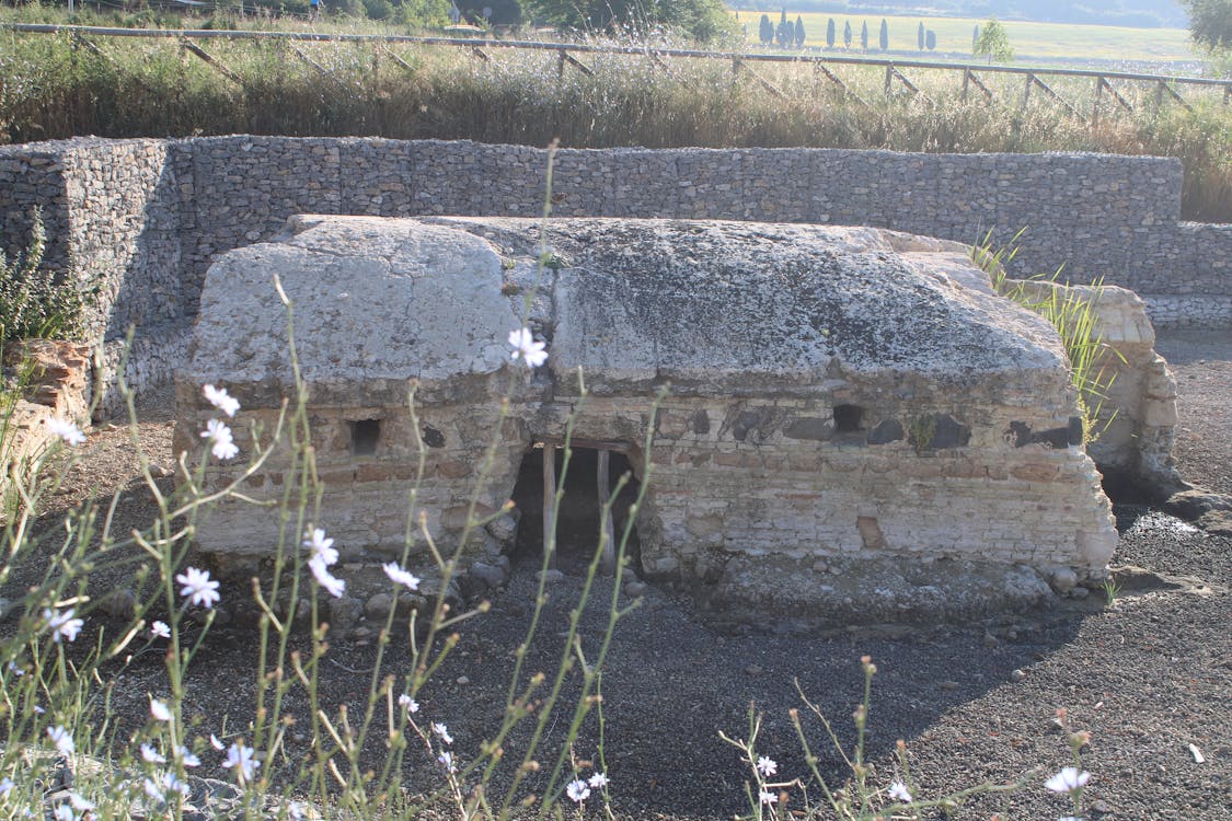 yacimiento arqueológico de la Corta