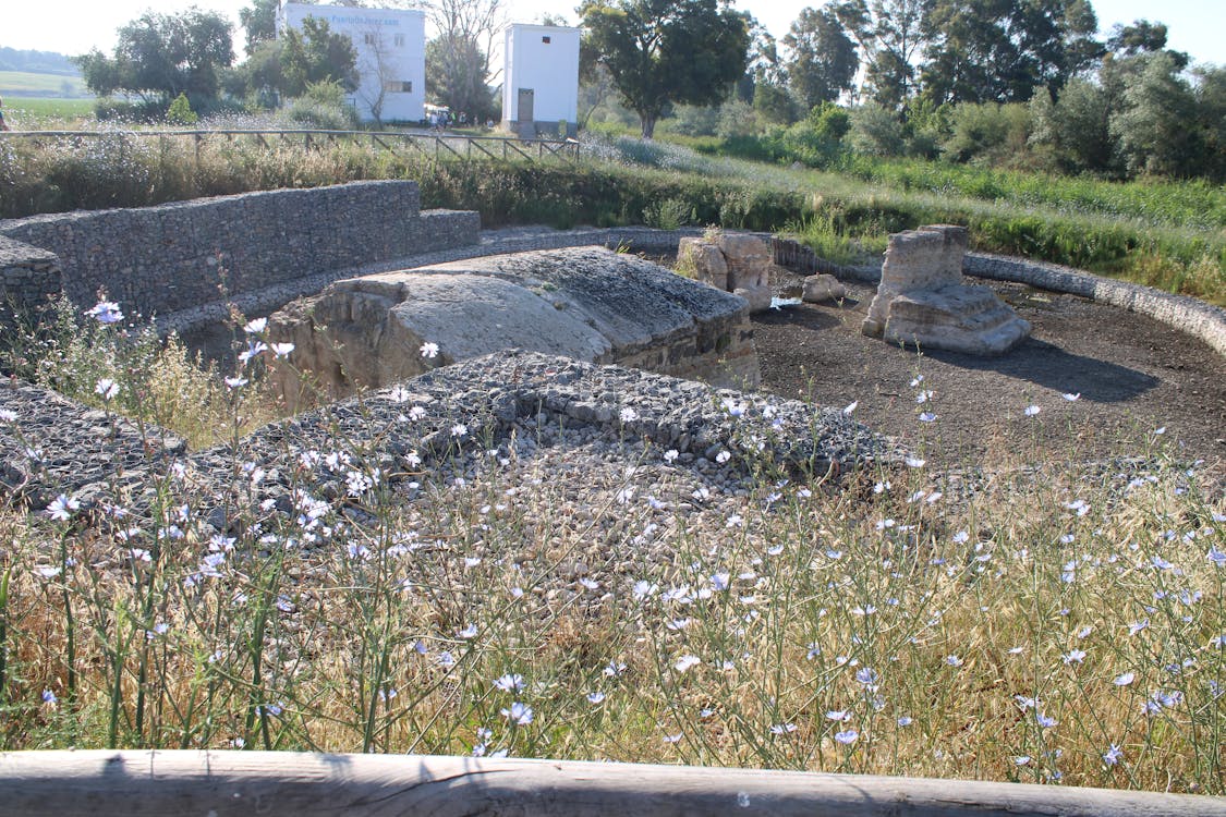 yacimiento arqueológico de la Corta