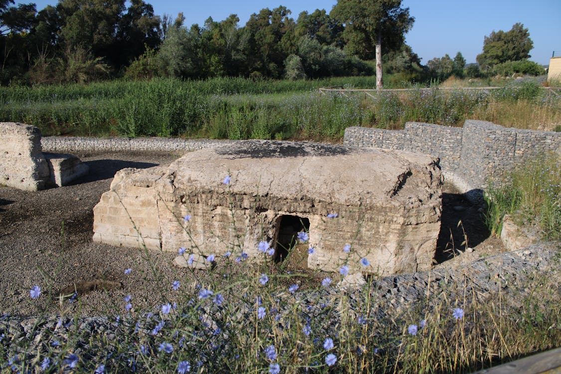 yacimiento arqueológico de la Corta