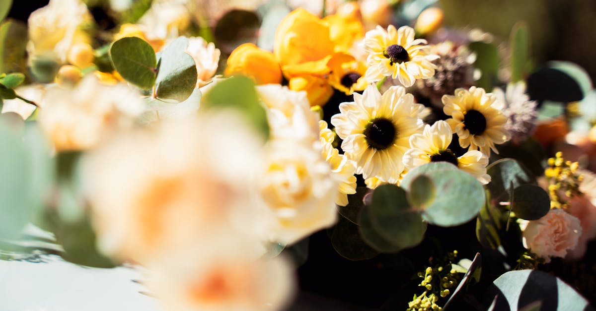 生活:國姓2000坪麝香木粉紫花海驚豔,讓人流連忘返