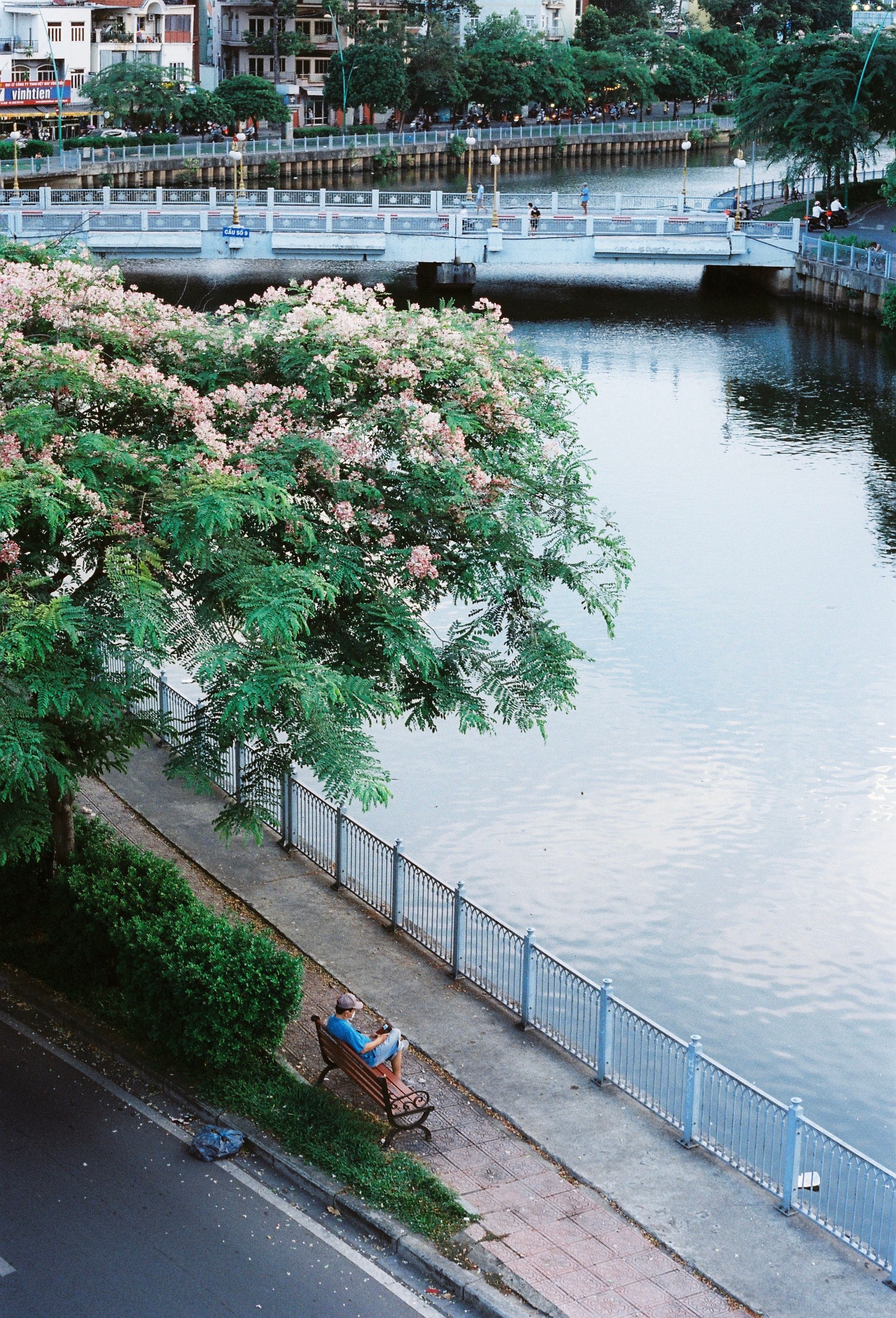 River in Town · Free Stock Photo