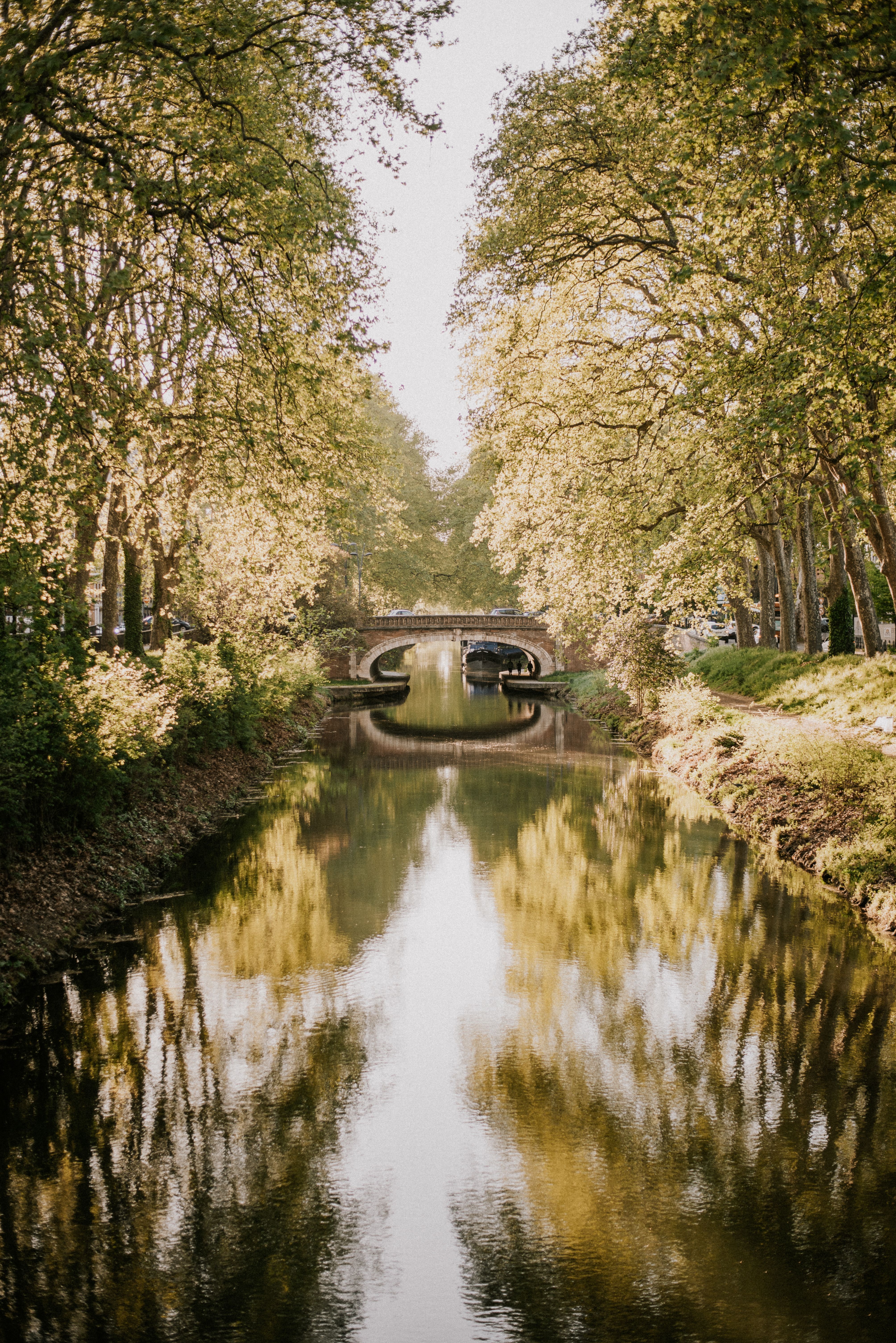 Couverture : Investing in Toulouse property