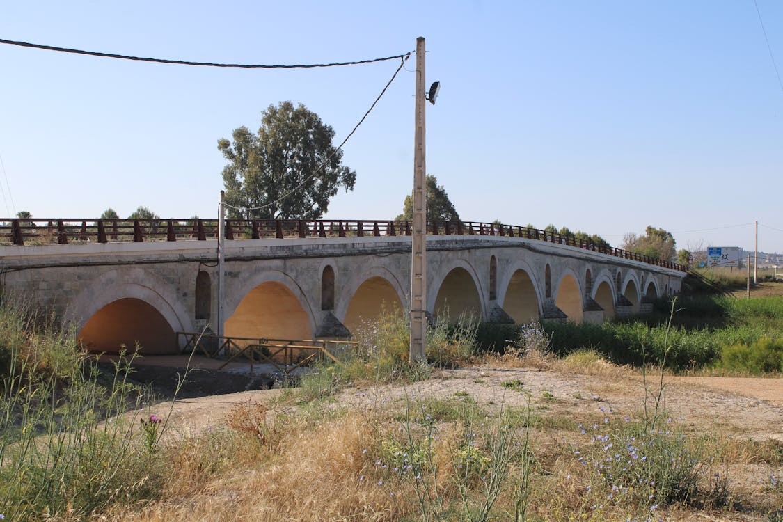 puente de la Cartuja