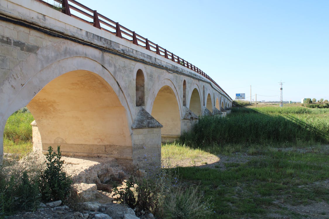 puente de la Cartuja