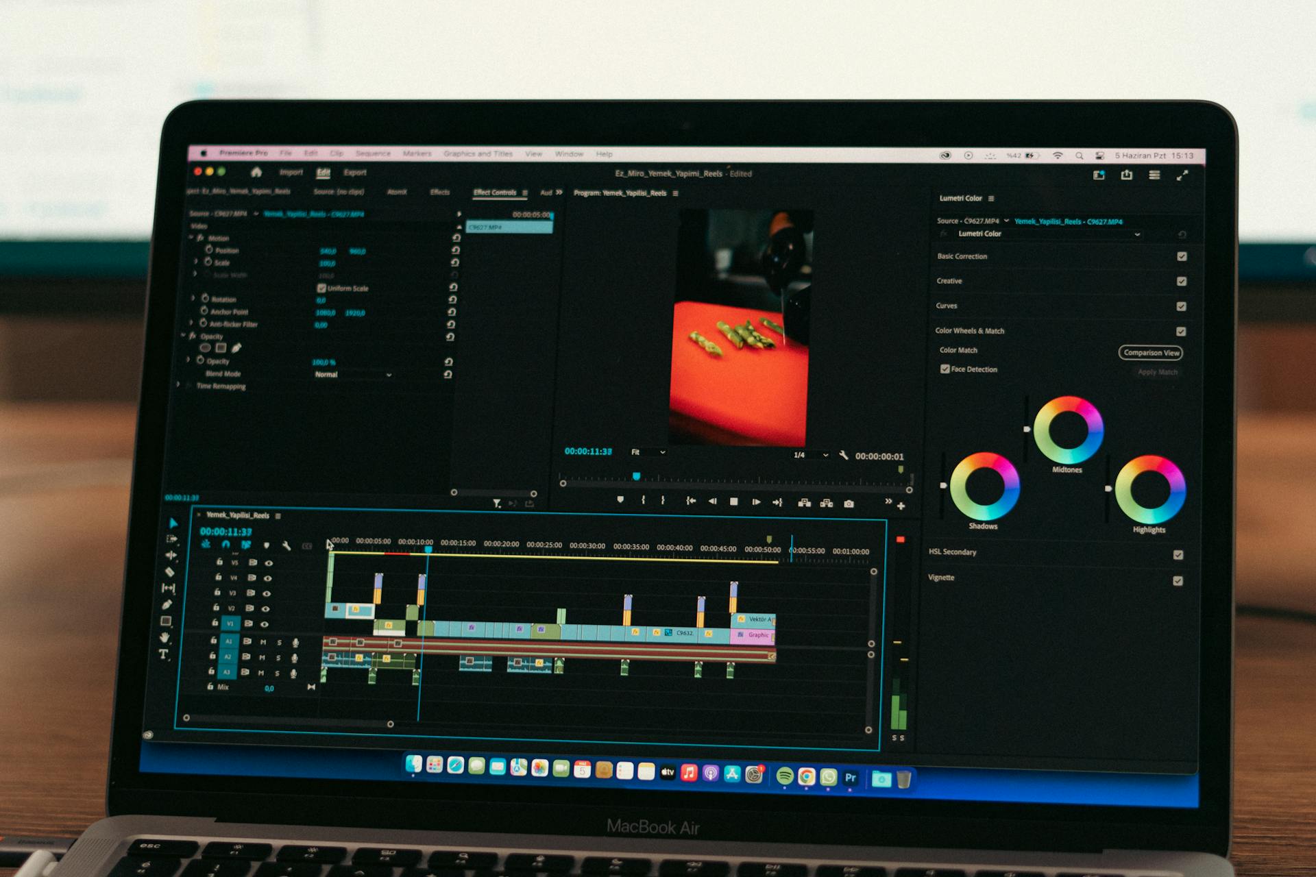 Layout of Editing Software