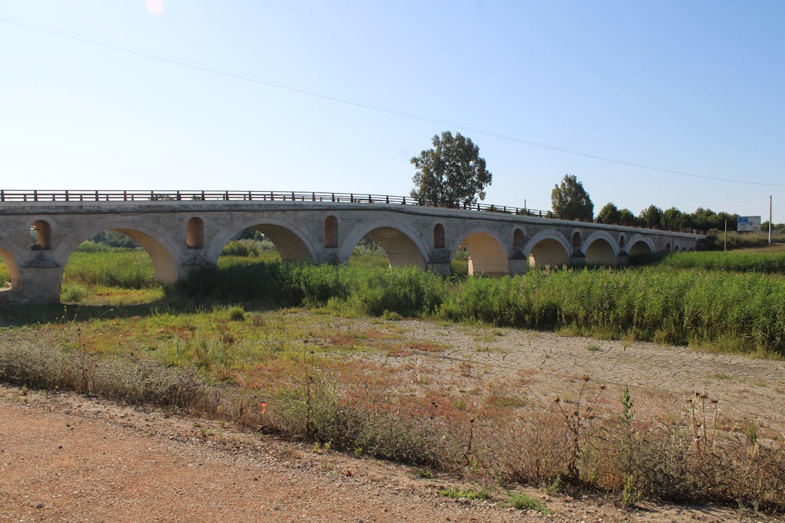 puente de la Cartuja