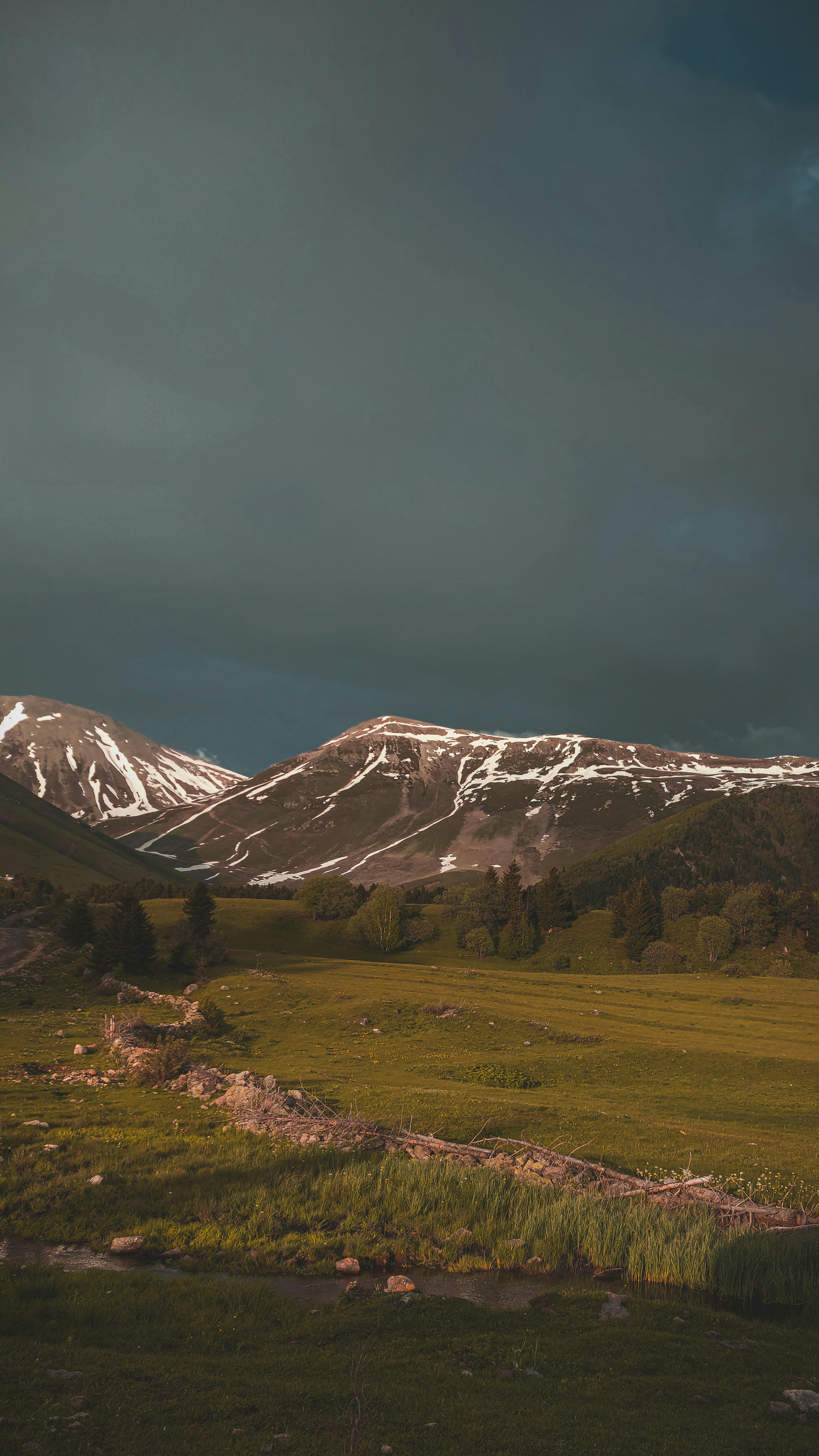 A tranquil view of snow-capped mountains overlooking lush green fields under a cloudy sky.