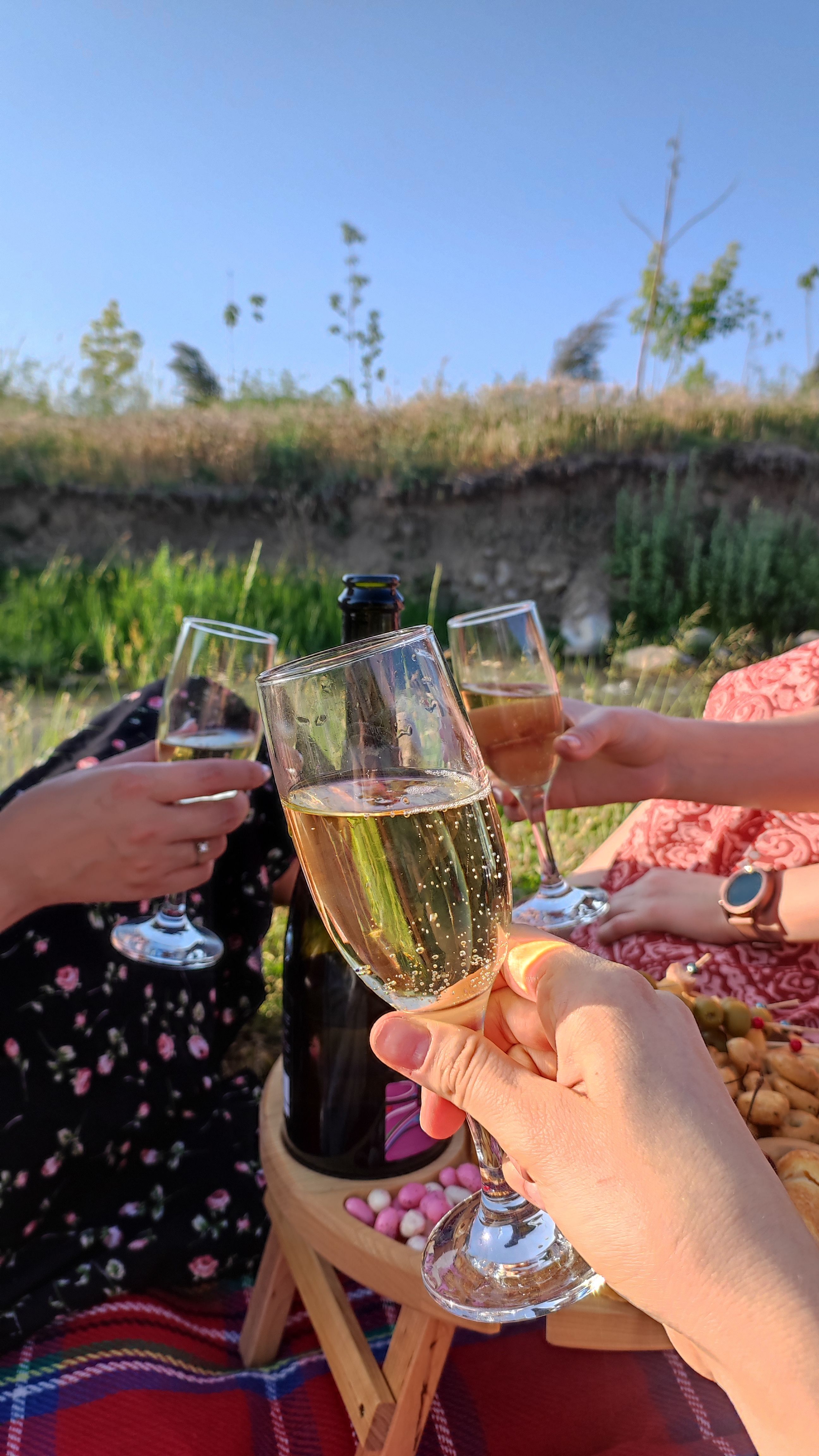 Friends toasting with glasses in the sun, the kind of loose social occasion where canned wine competes on ease rather than ritual.