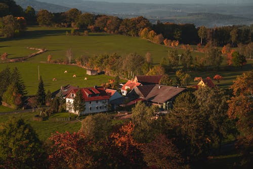 Farm in Autumn