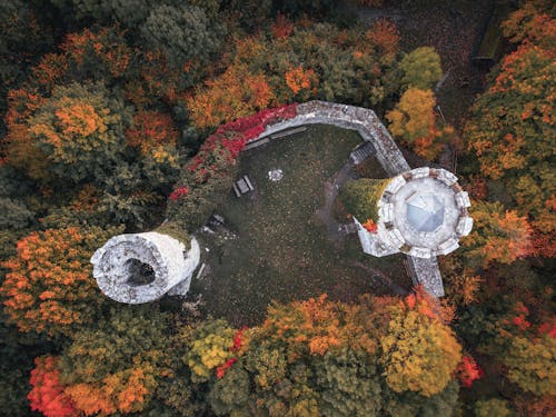 Imagine de stoc gratuită din arbori, castel, castele