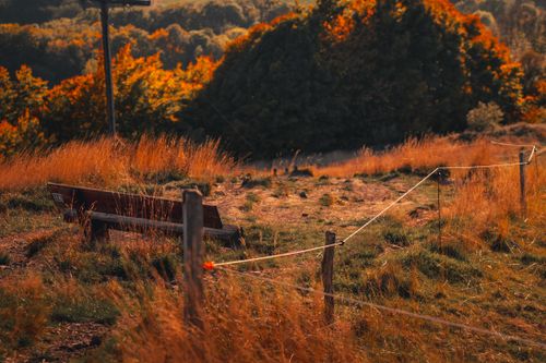 Free Peaceful autumn scene featuring a wooden bench by a fence amidst colorful fall foliage. Stock Photo