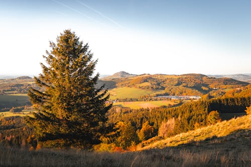 Mountains in Autumn