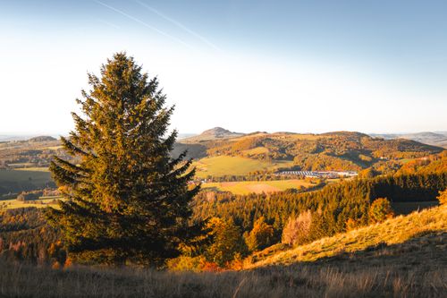 Free Beautiful autumn landscape with a tree in a scenic countryside setting at sunset. Stock Photo