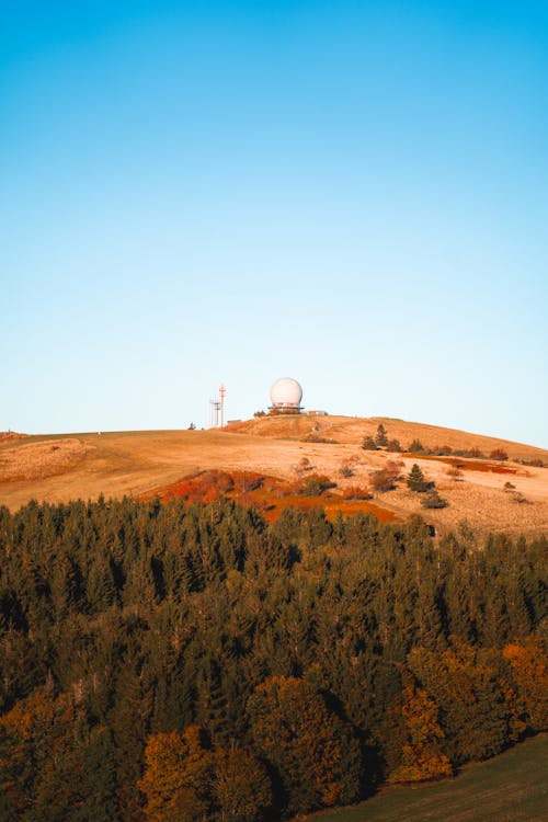 Imagine de stoc gratuită din codru, fotografiere verticală, munți