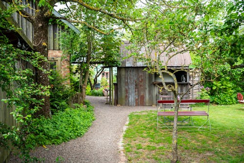 House with Yard in Summer