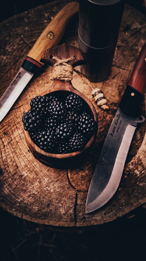 Gratis lagerfoto af blackberries, friskhed, frugt Lagerfoto