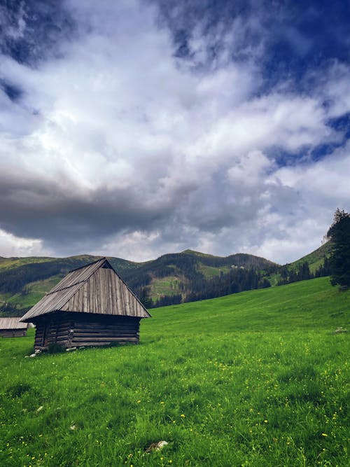 A Wooden Hut on a Grass Field in Mountains 