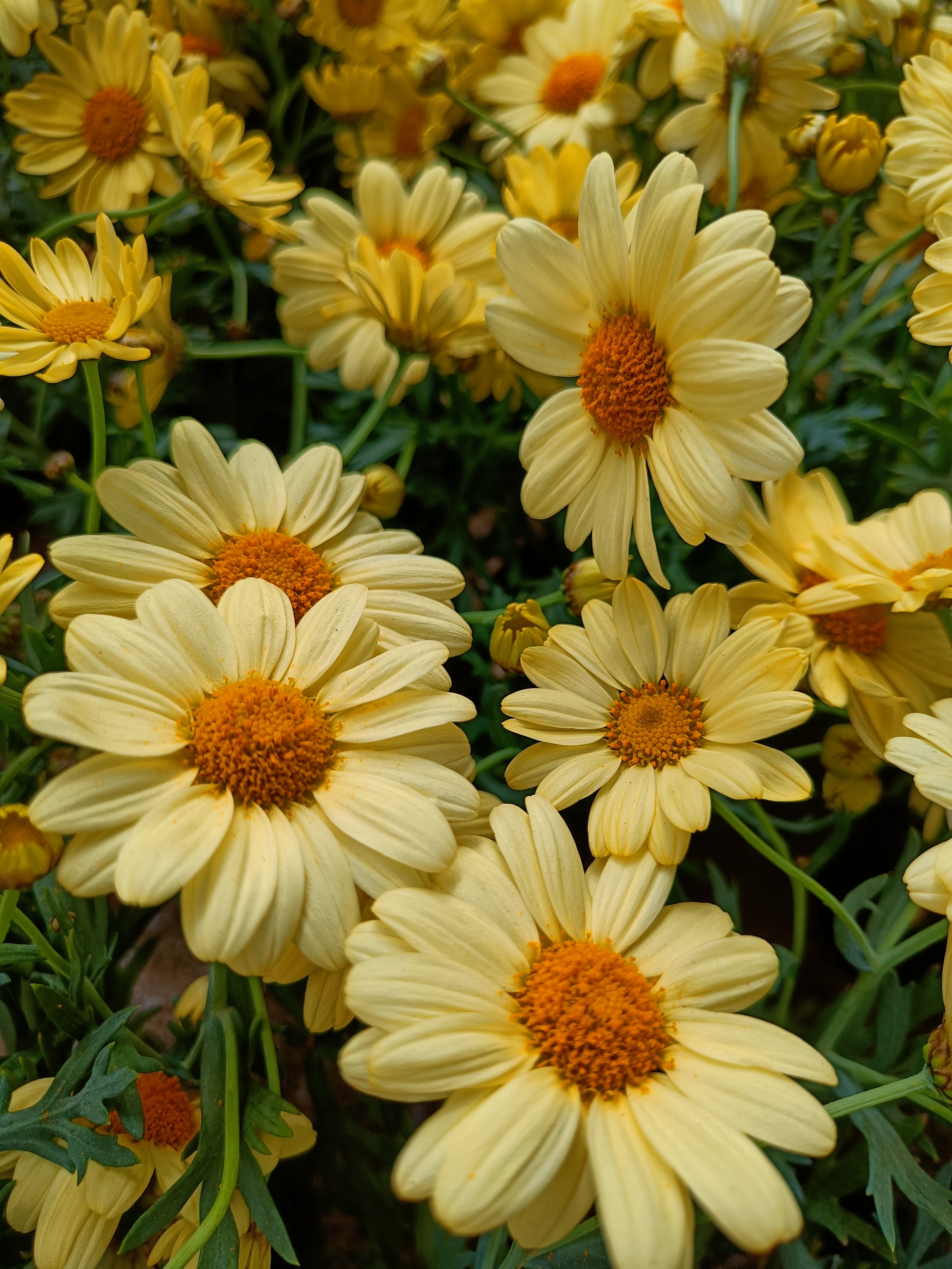 Visualizing abundance photos download the best free visualizing