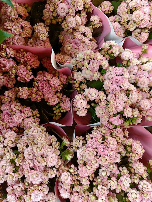 Top View of Pink Flower Bouquets 