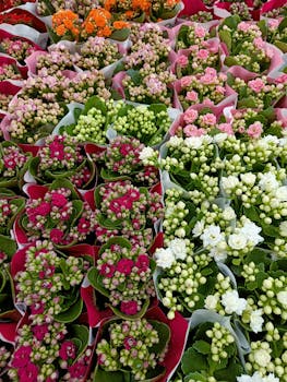 Colorful assortment of flower bouquets for sale at Espoo market, showcasing summer blooms.