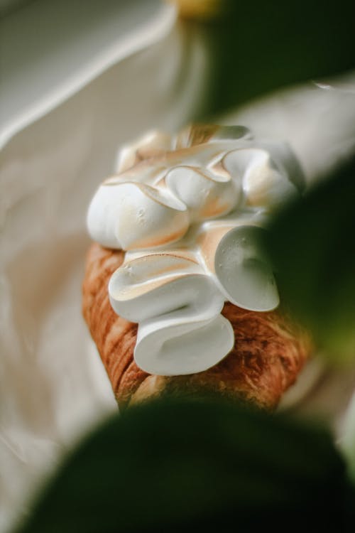 Close up of Croissant with Cream