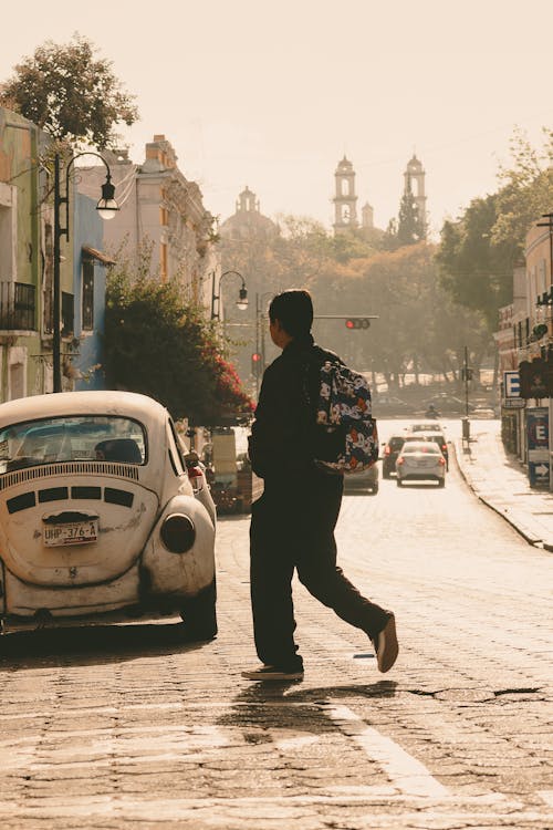 คลังภาพถ่ายฟรี ของ กระเป๋าเป้, คนเดินเท้า, ถนนในเมือง