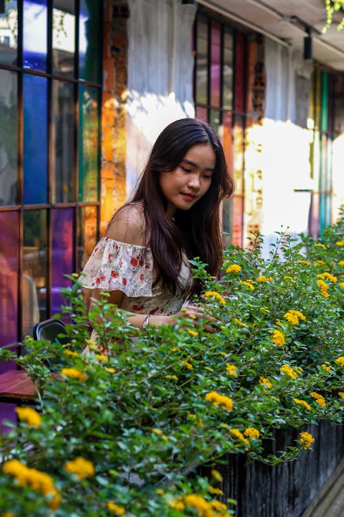 Immagine gratuita di donna, estate, fiori