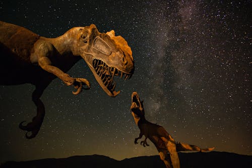 갤럭시, 공룡, 동물의 모습의 무료 스톡 사진