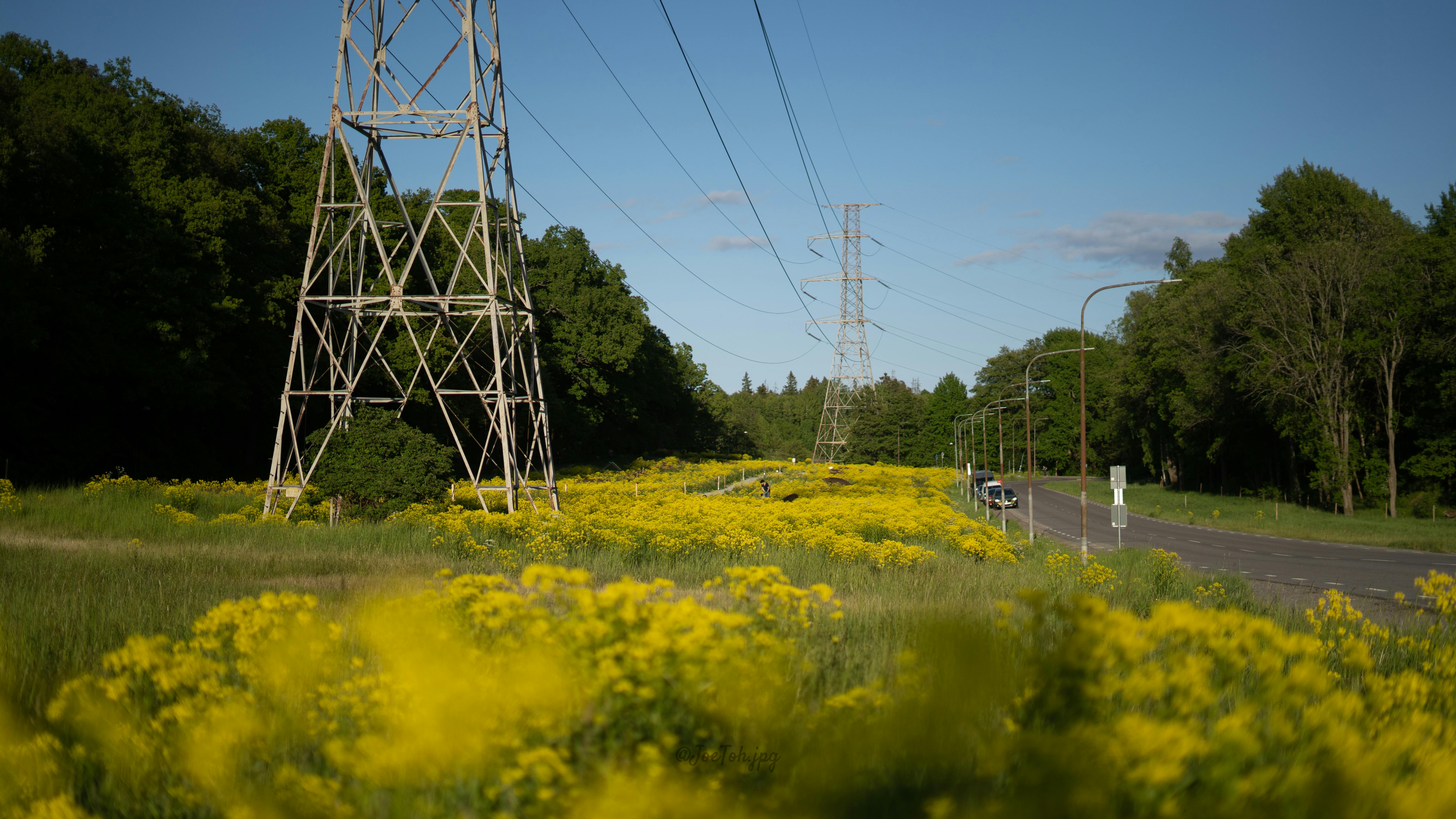 evs explained ev electrification — Photo by Joe Toh on Pexels