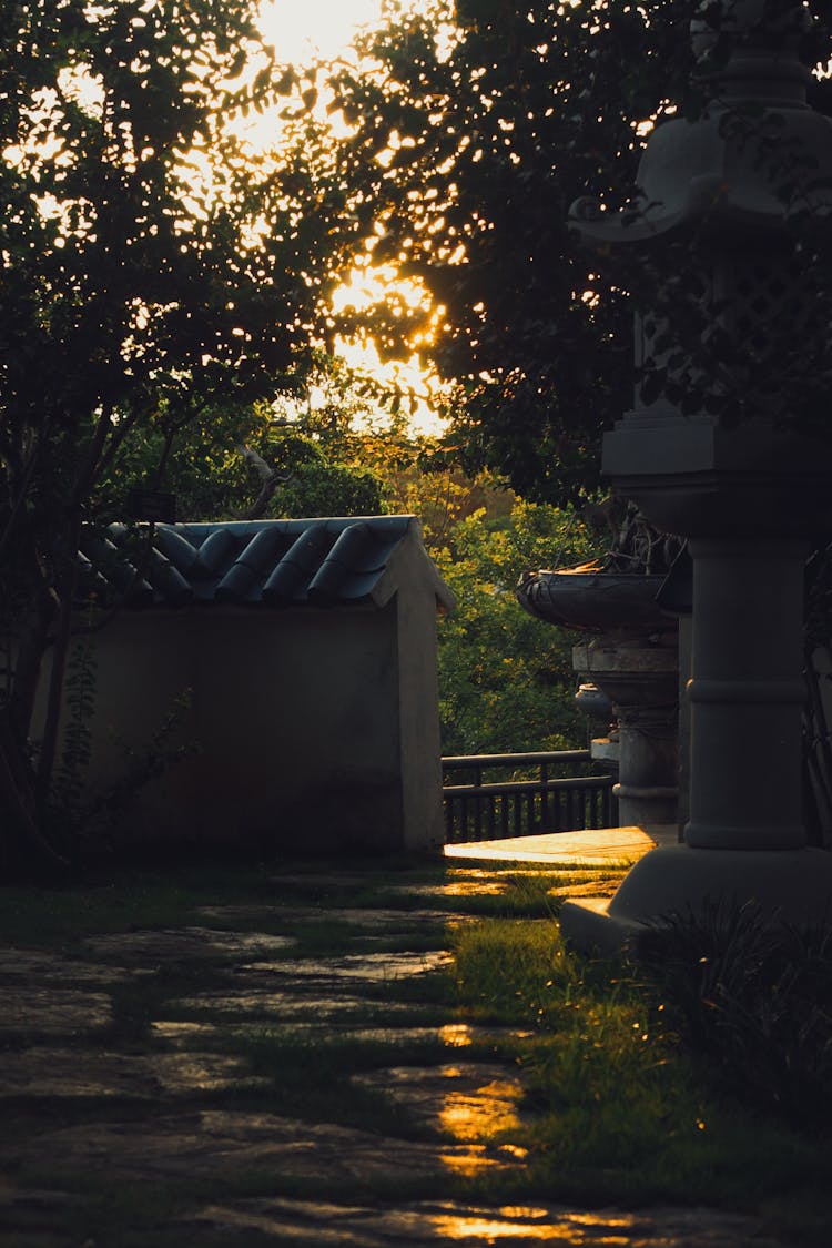 Garden Footpath At Sunset