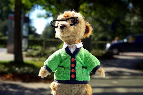 Focus Photo of Brown Animal Plush Toy in Green Jacket and Eyeglasses