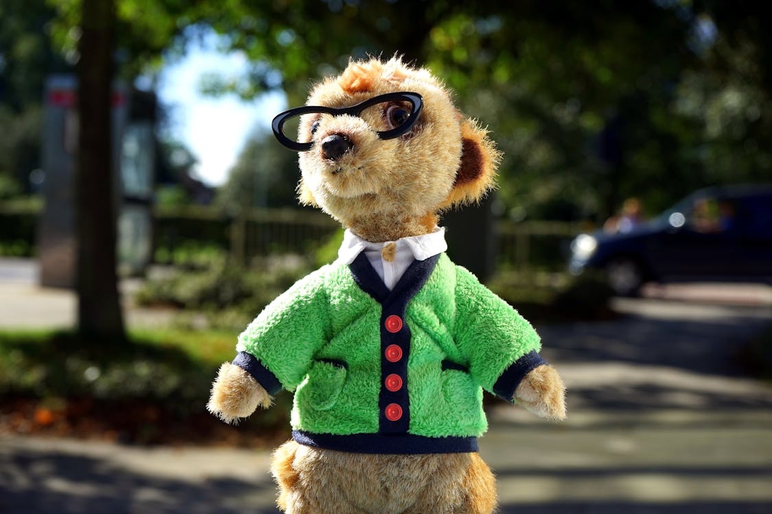 Focus Photo of Brown Animal Plush Toy in Green Jacket and Eyeglasses