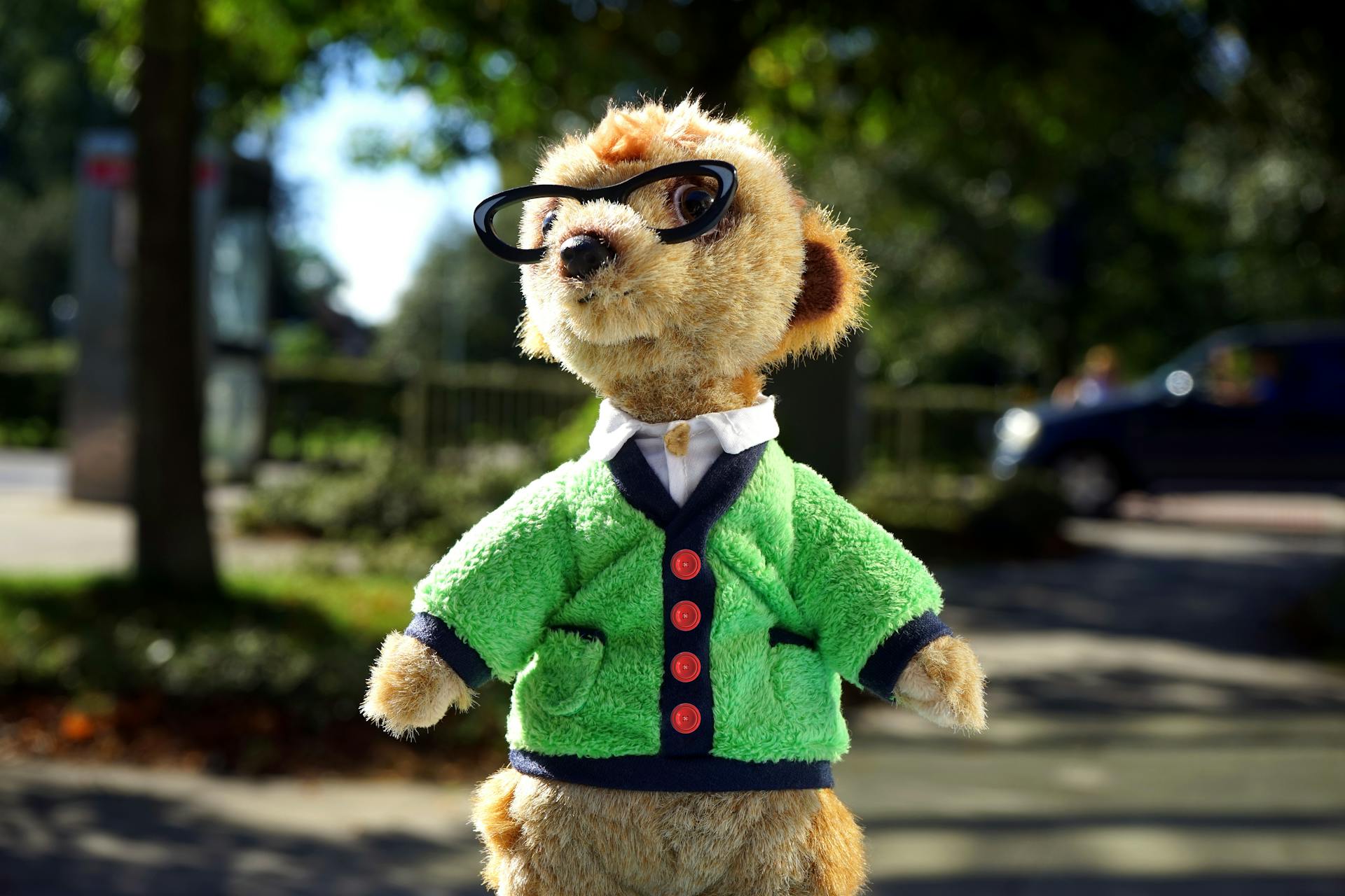 Focus Photo de jouet en peluche animal brun avec une veste verte et des lunettes