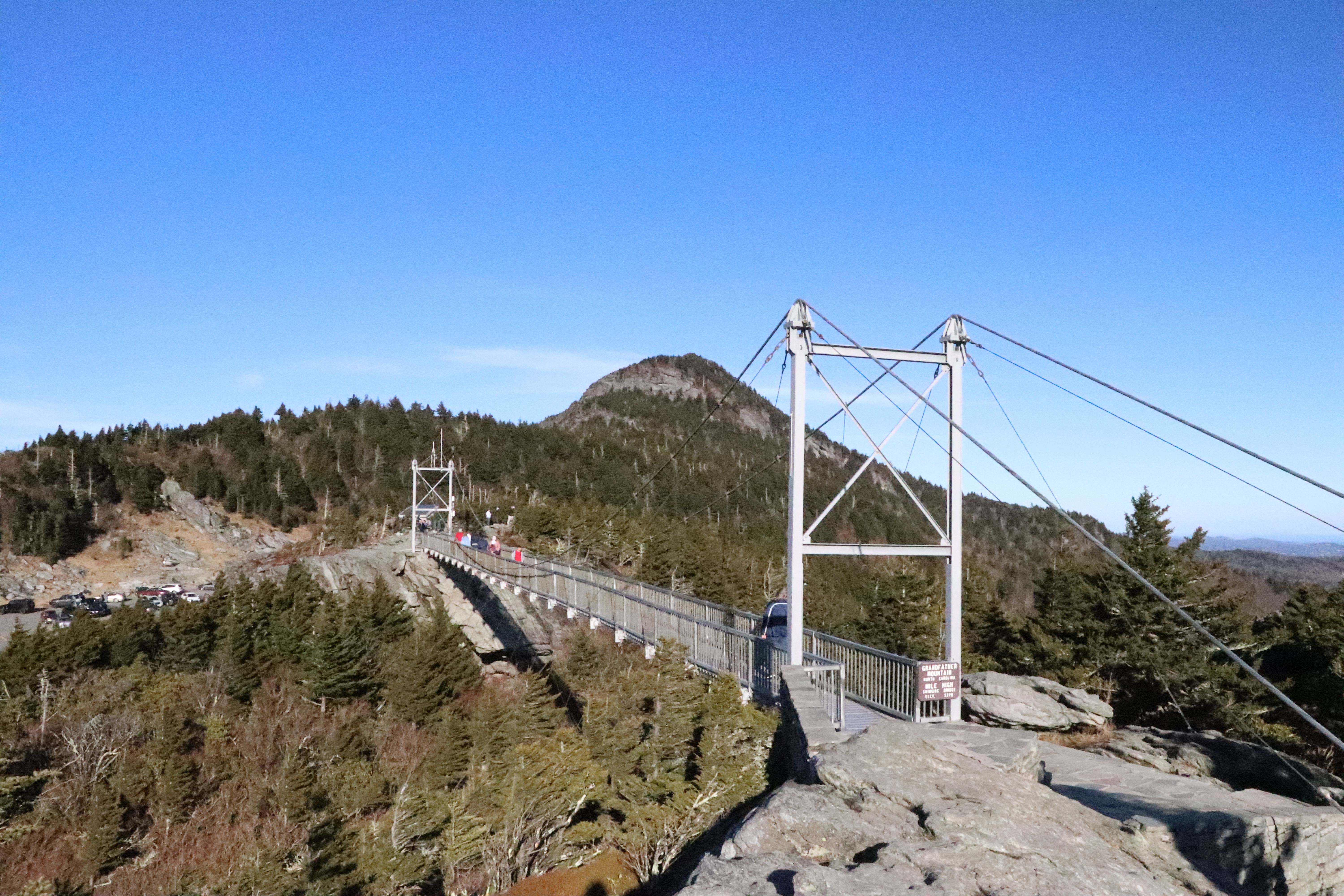 A breathtaking view of the bridge at Grandfather Mountain, NC amid lush pine trees.